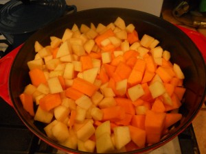 Butternut Squash and Apple Soup (with Curry)