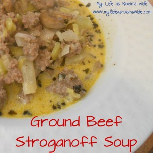 Ground Beef Stroganoff Soup
